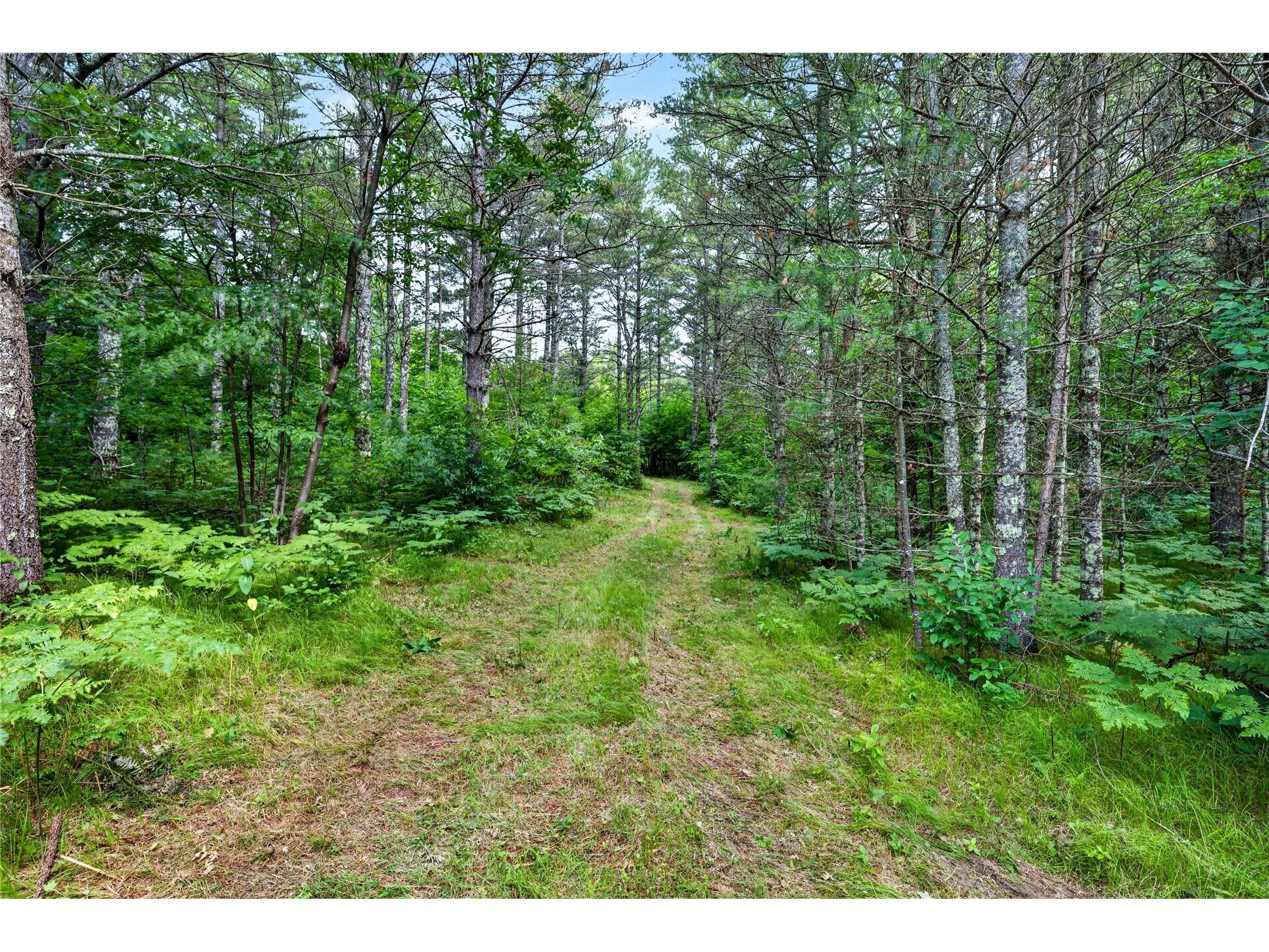 Lot A 9 Acres Us Highway 63 Drummond WI 54832 - Picture 1602880 image20