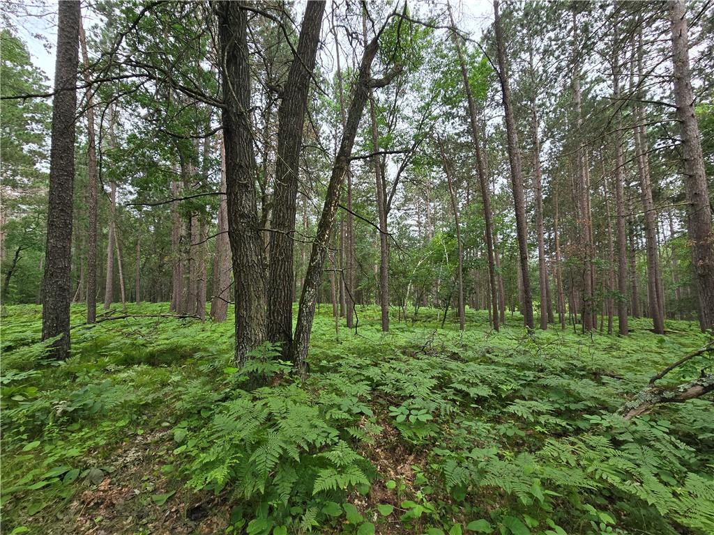 Lot A Saylors Lane Siren WI 54872 - Clam 1583031 image1