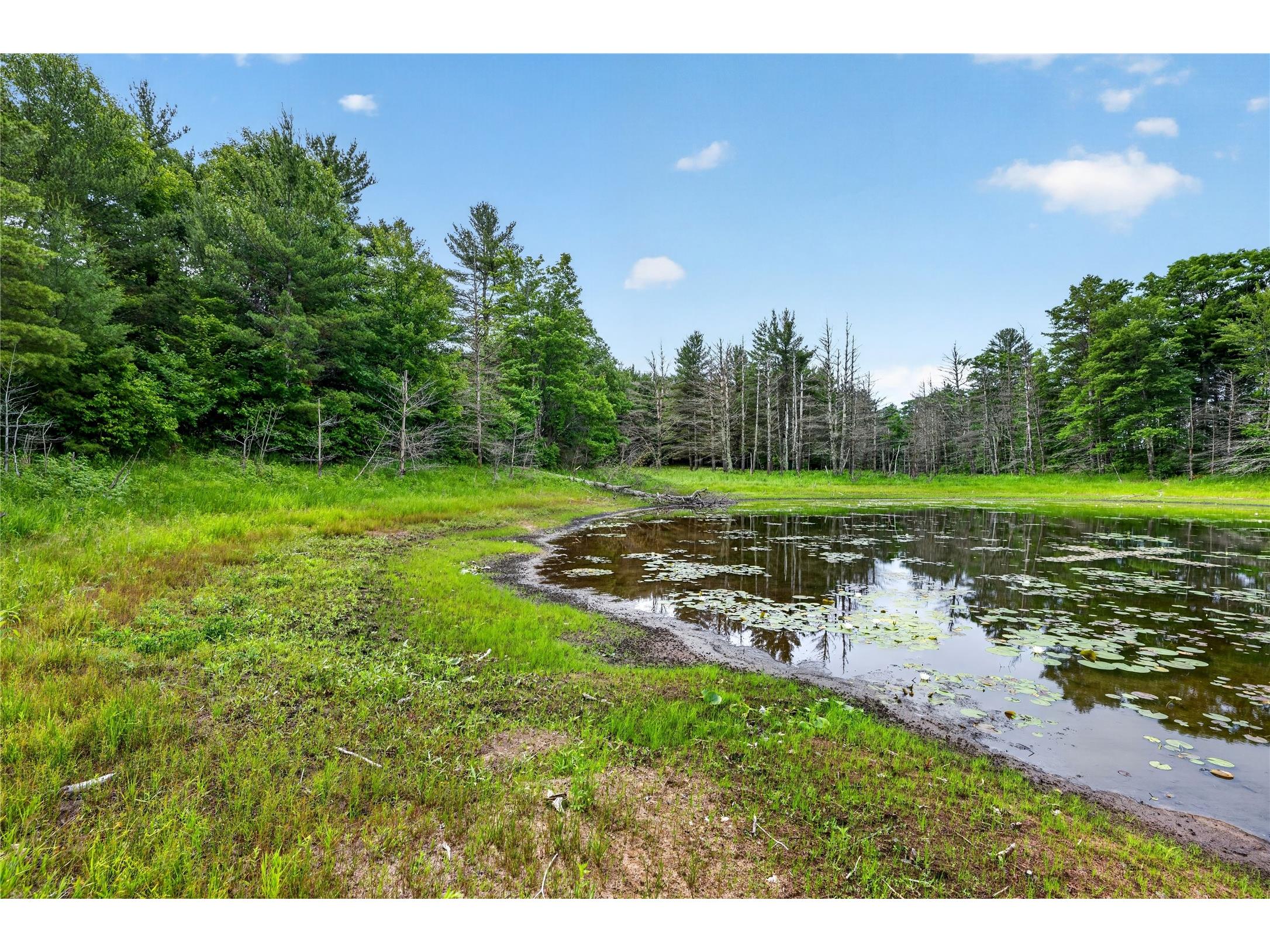 Lot B 9 Acres Us Highway 63 Drummond WI 54832 - Picture 1602881 image16