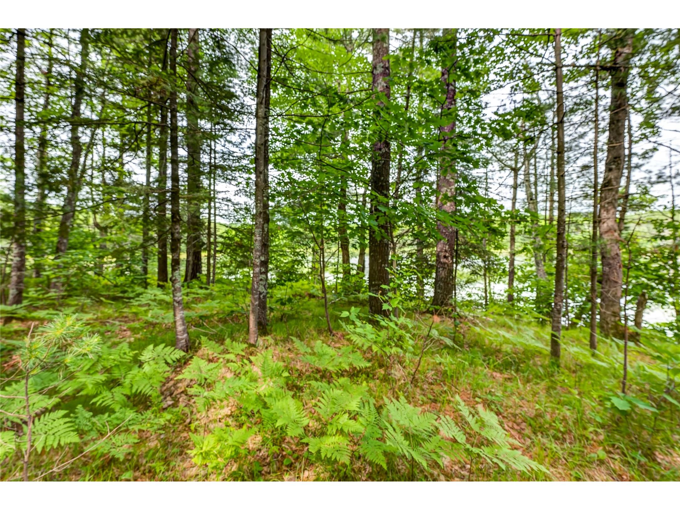 Lot B 9 Acres Us Highway 63 Drummond WI 54832 - Picture 1602881 image18