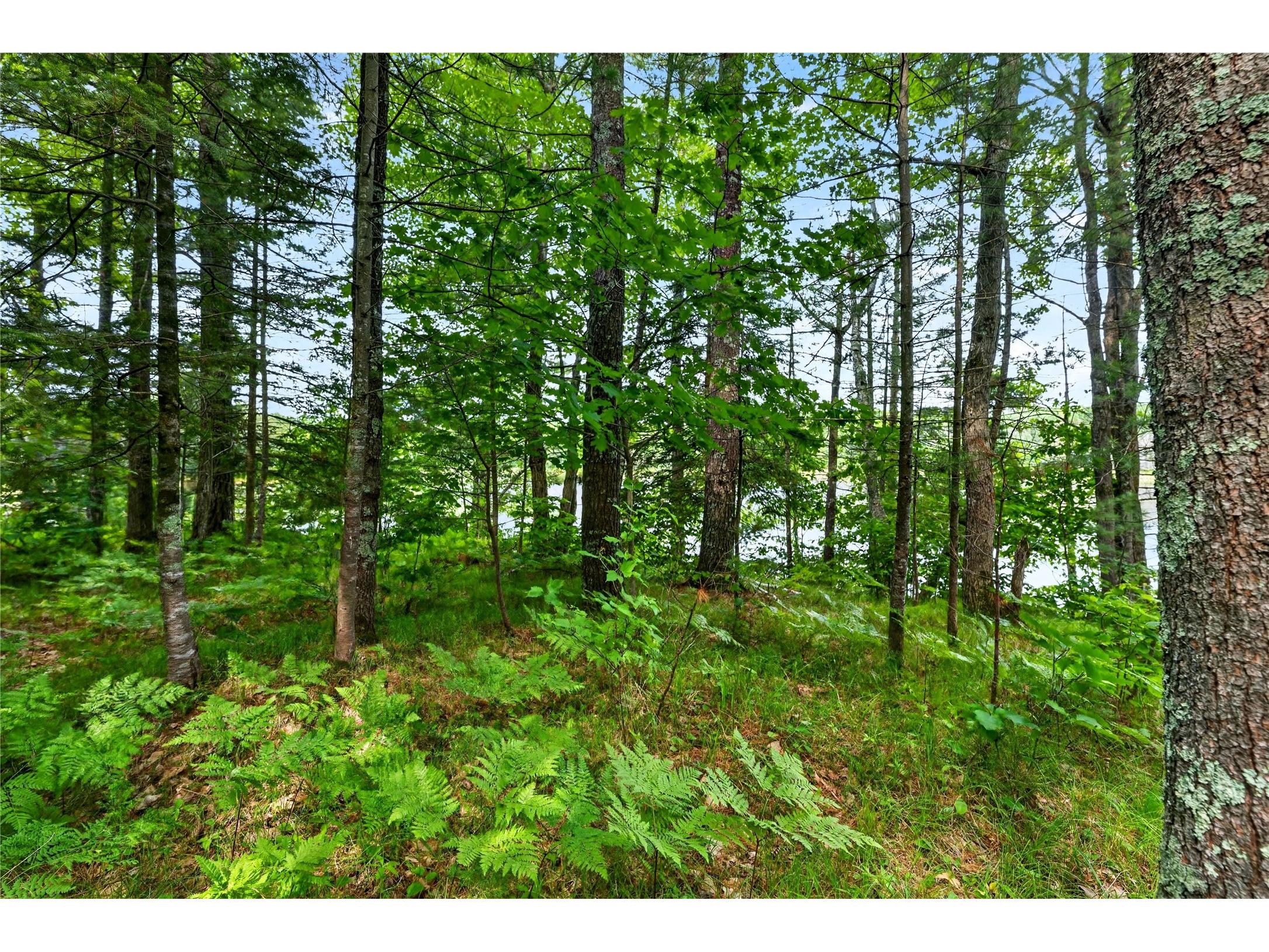 Lot B 9 Acres Us Highway 63 Drummond WI 54832 - Picture 1602881 image19
