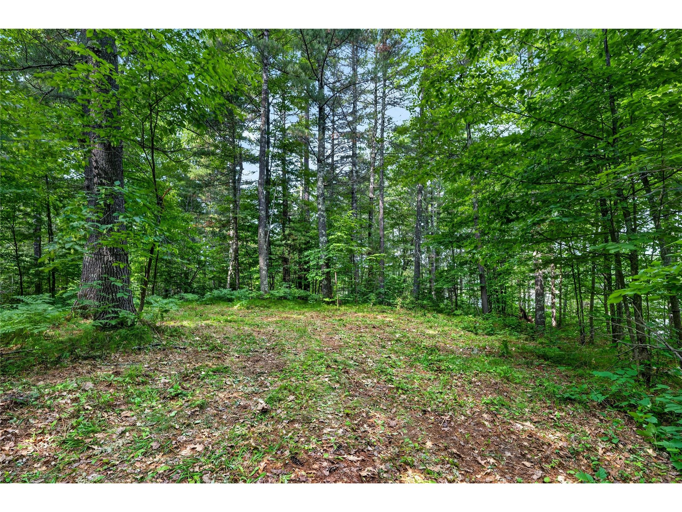 Lot B 9 Acres Us Highway 63 Drummond WI 54832 - Picture 1602881 image20