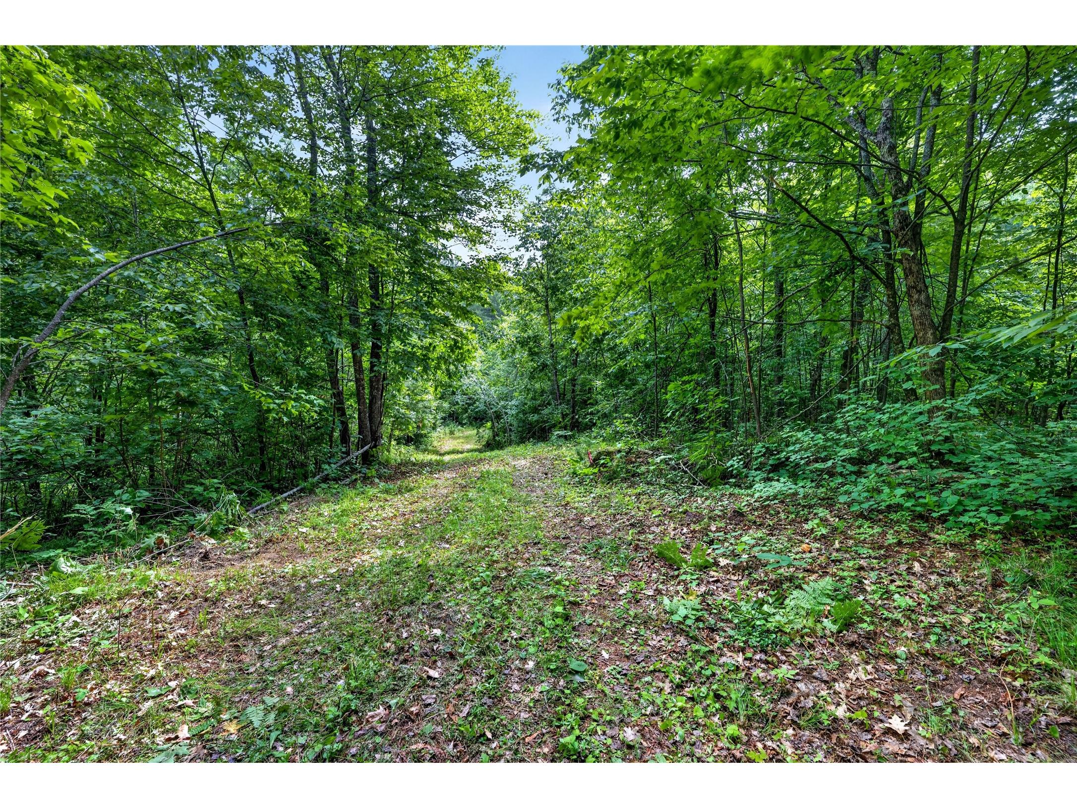 Lot B 9 Acres Us Highway 63 Drummond WI 54832 - Picture 1602881 image21
