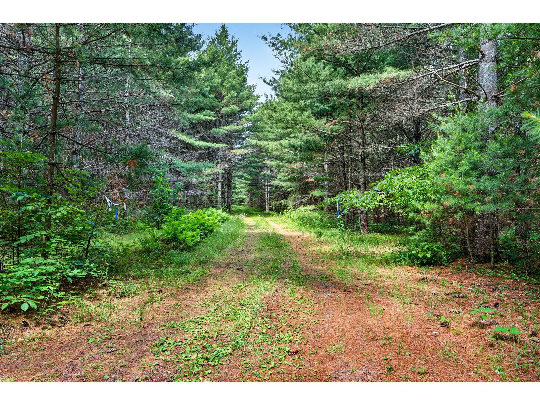 Lot B 9 Acres Us Highway 63 Drummond WI 54832 - Picture 1602881 image23