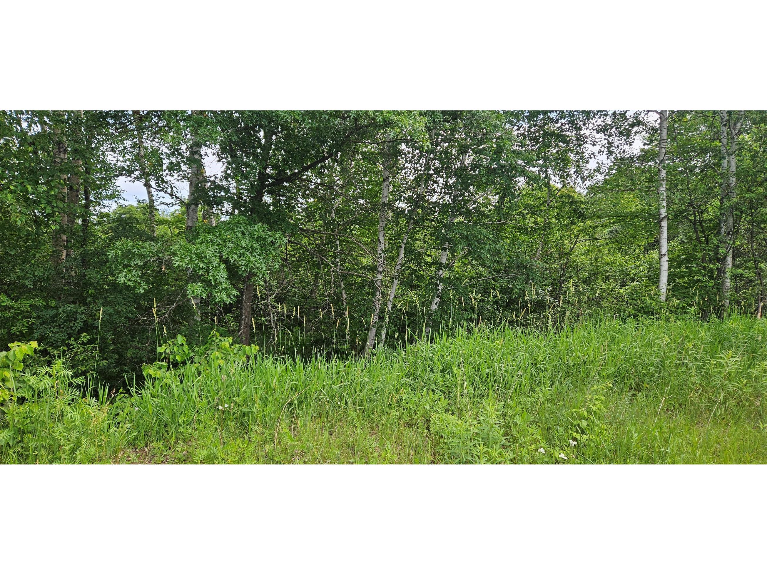 Lot C Windrose Lane Hayward WI 54843 1602941 image6