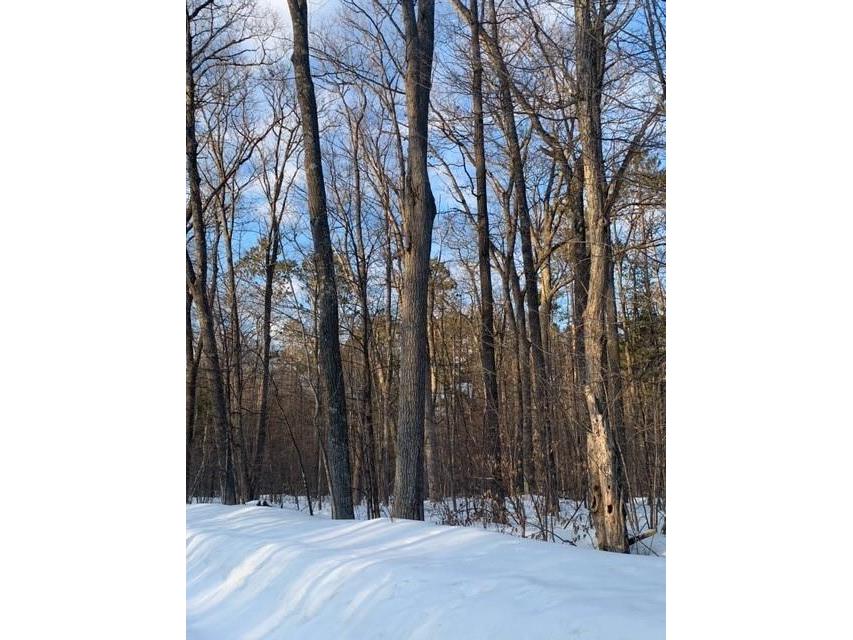 Lot O John Ericcson Avenue Hayward WI 54843 1572416 image1