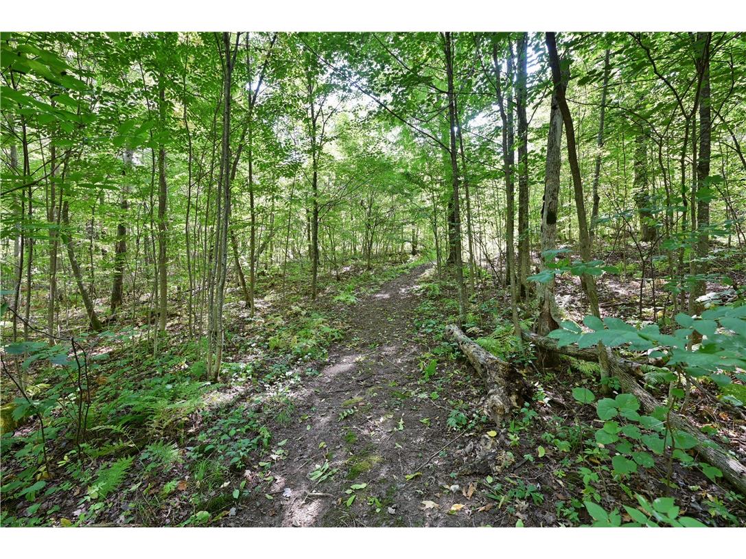 Lots 1 & 2 13 1/4 St Rice Lake WI 54868 1594467 image1