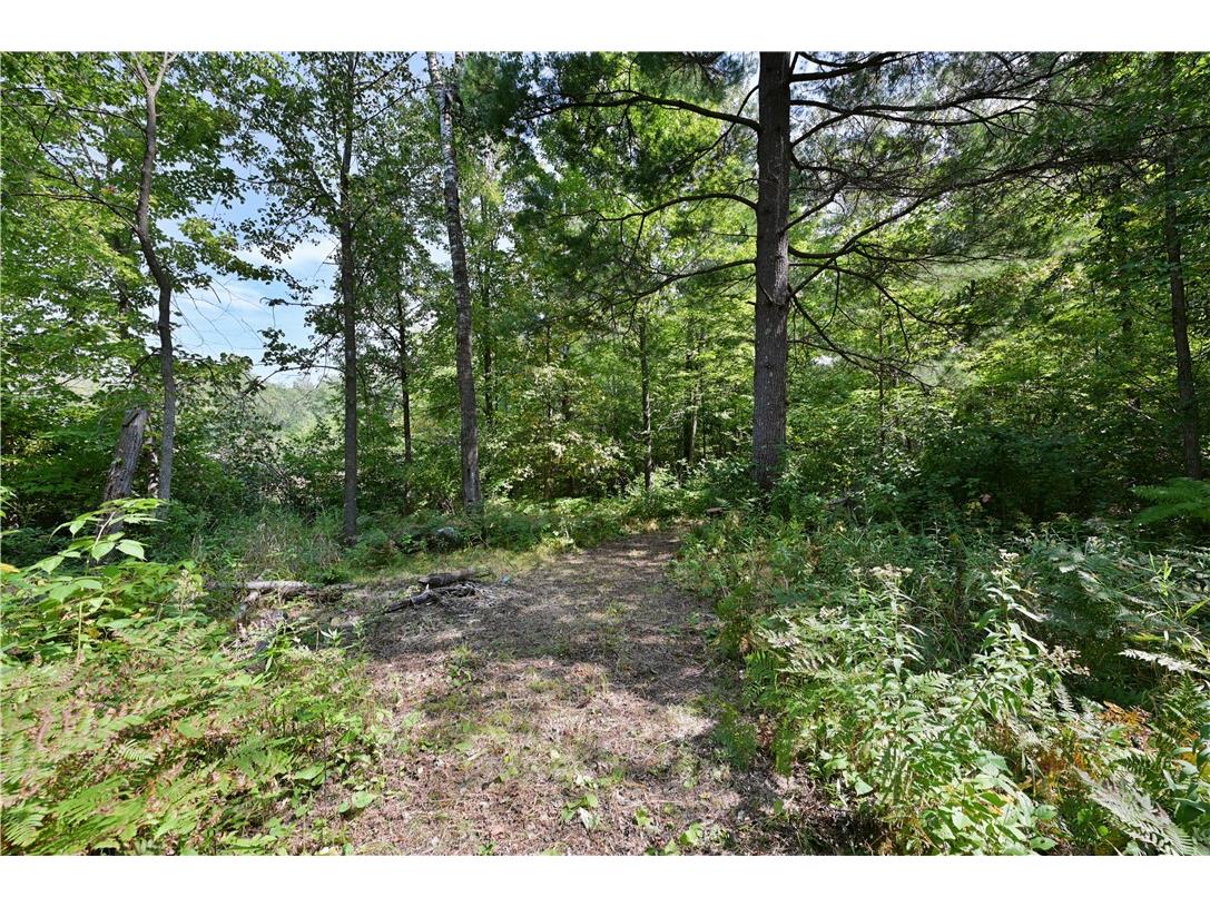 Lots 1 & 2 13 1/4 St Rice Lake WI 54868 1594467 image2