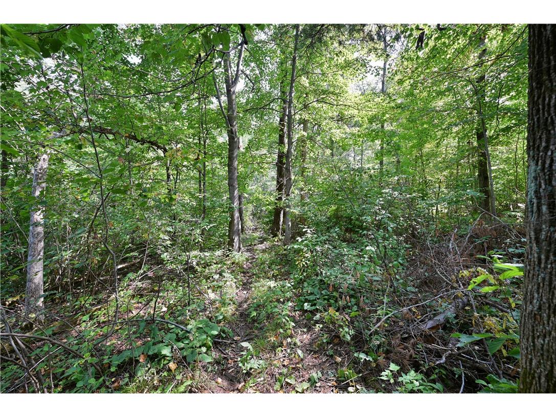 Lots 1 & 2 13 1/4 St Rice Lake WI 54868 1594467 image3