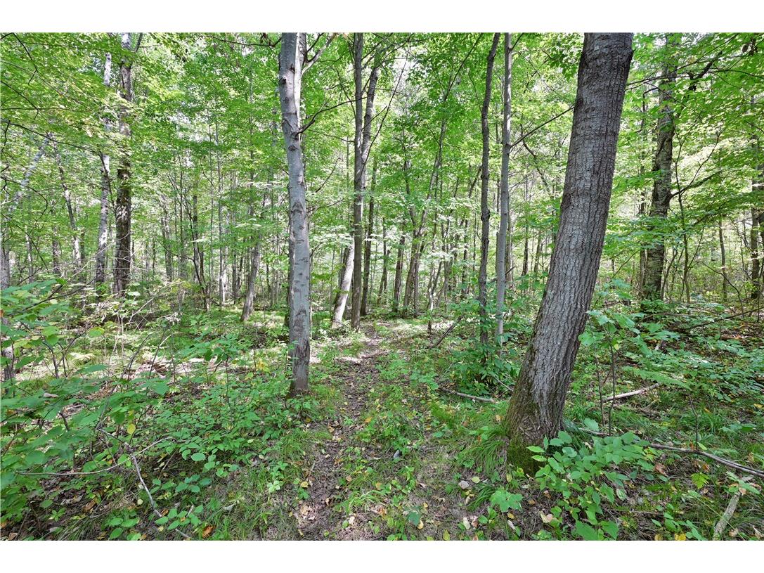 Lots 1 & 2 13 1/4 St Rice Lake WI 54868 1594467 image4