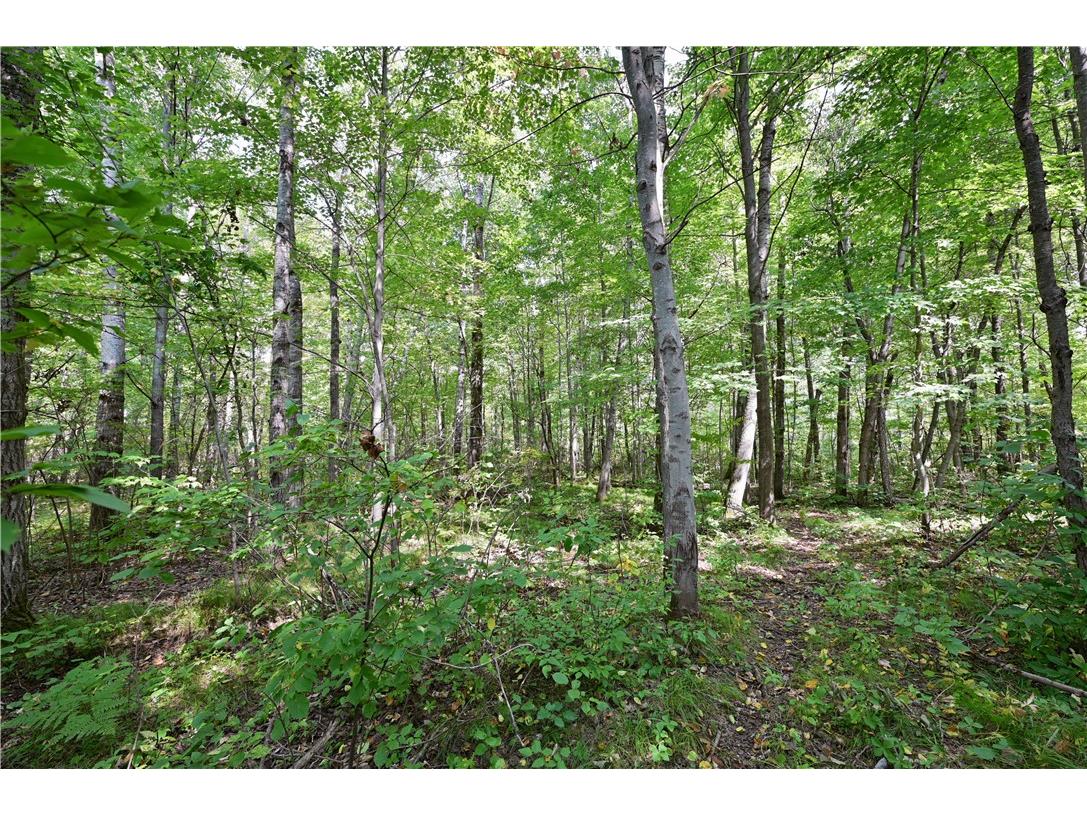 Lots 1 & 2 13 1/4 St Rice Lake WI 54868 1594467 image5