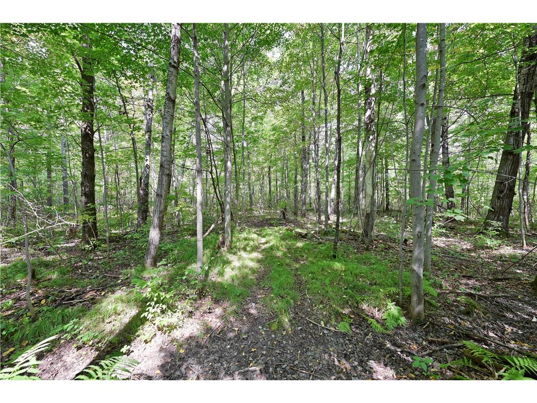 Lots 1 & 2 13 1/4 St Rice Lake WI 54868 1594467 image6