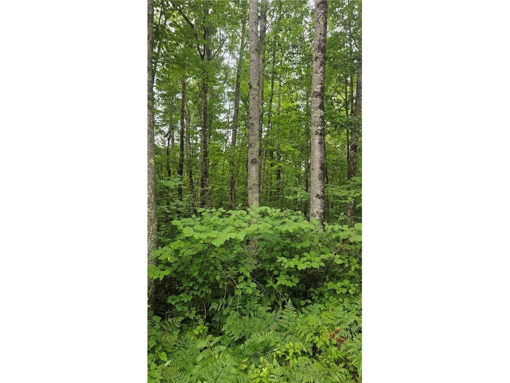 Lots 1-2 34-40 BLK 2 County Road K Hayward WI 54843 1594819 image2