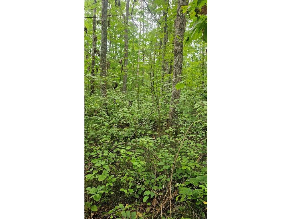 Lots 1-2 34-40 BLK 2 County Road K Hayward WI 54843 1594819 image3
