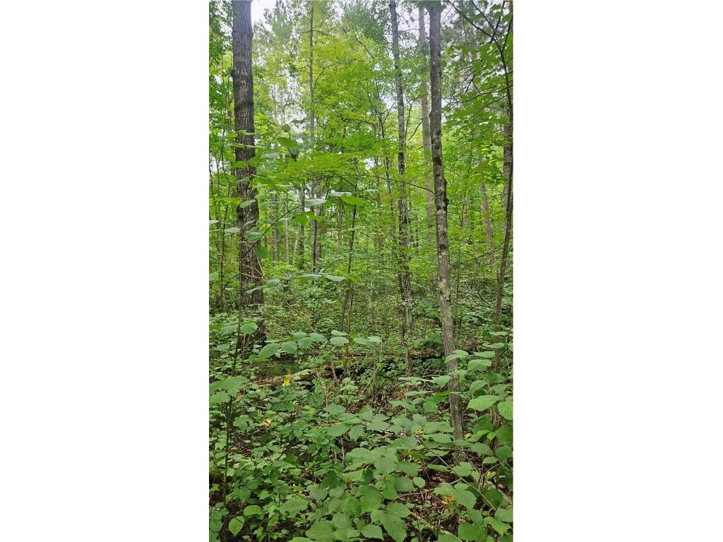 Lots 1-2 34-40 BLK 2 County Road K Hayward WI 54843 1594819 image4