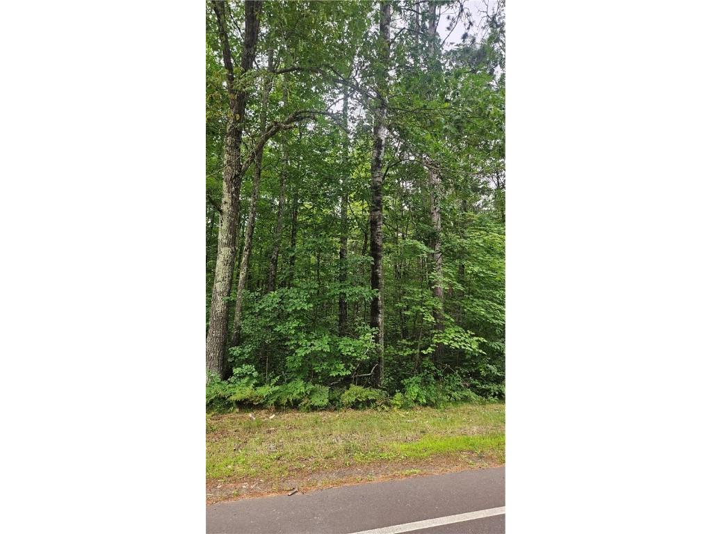 Lots 1-2 34-40 BLK 2 County Road K Hayward WI 54843 1594819 image6