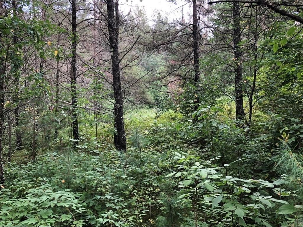 Lots 1 & 2 Reiskes Road Hayward WI 54843 1571666 image1