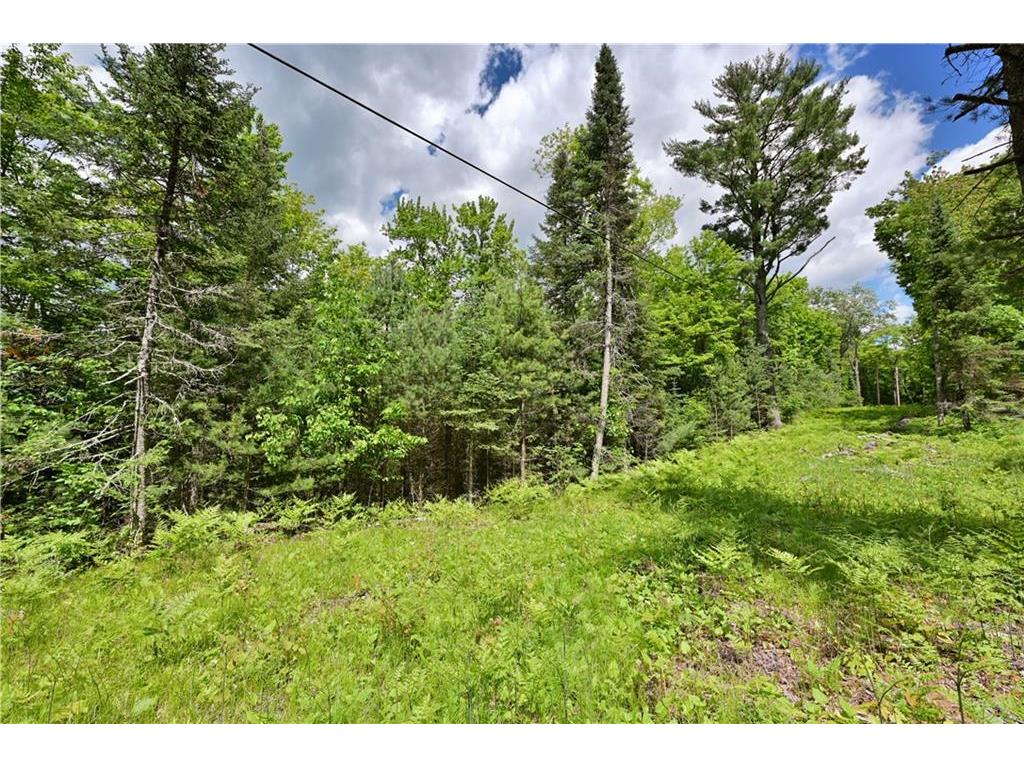 Lots 1 2 South Road, Hayward, WI, 54843 MLS 1582867 Edina Realty