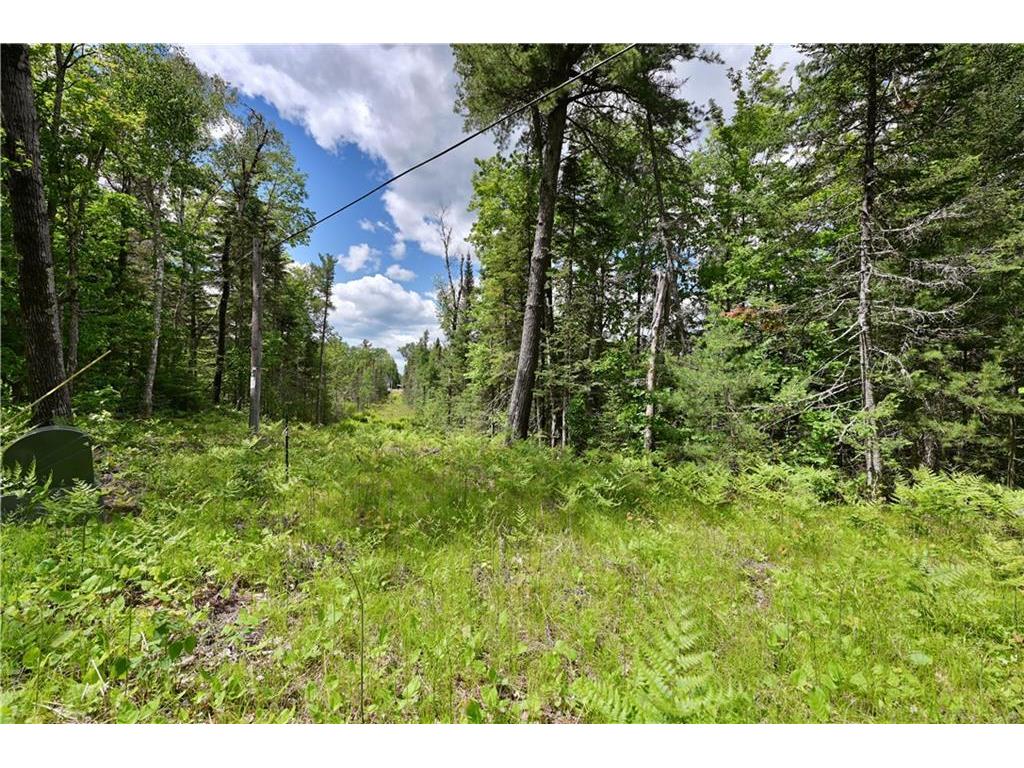 Lots 1 2 South Road, Hayward, WI, 54843 MLS 1582867 Edina Realty