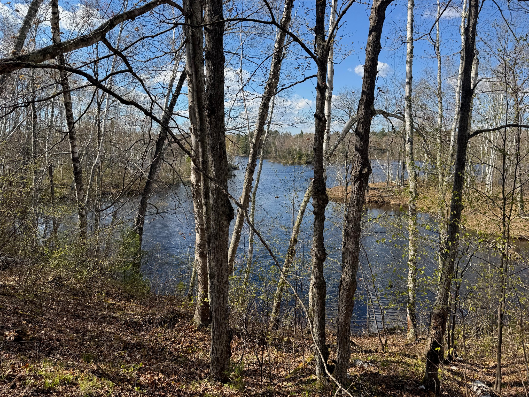 Lots 1-2 Trapper Trail Hayward WI 54843 - Chippewa 1601110 image15