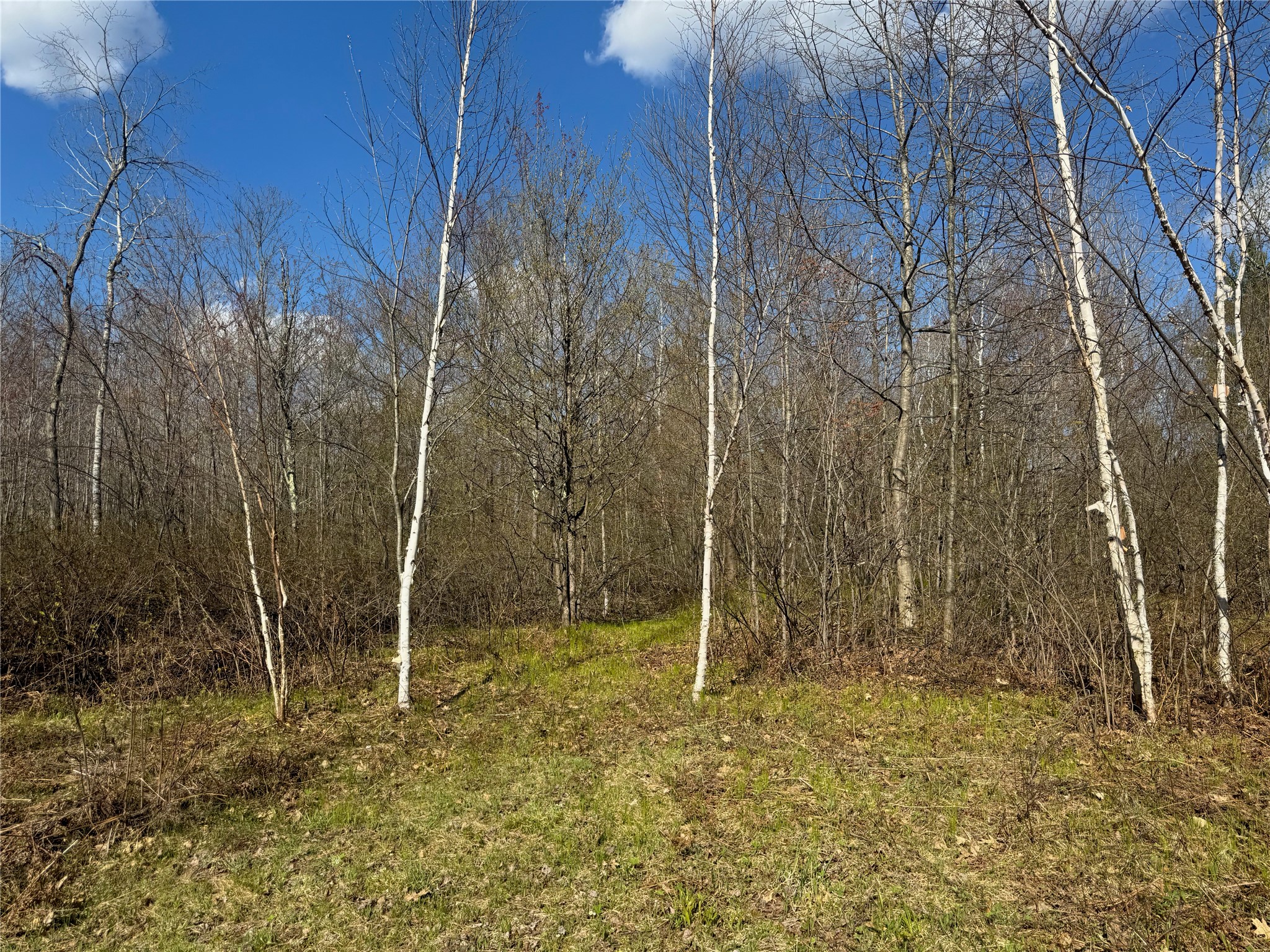 Lots 1-2 Trapper Trail Hayward WI 54843 - Chippewa 1601110 image19