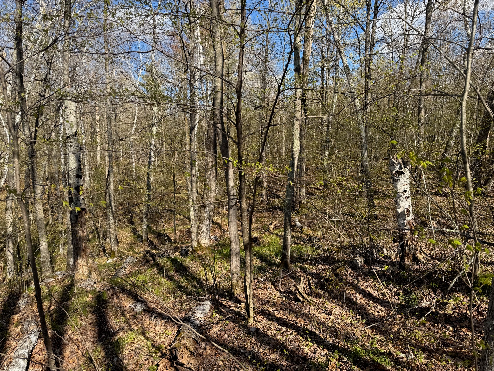 Lots 1-2 Trapper Trail Hayward WI 54843 - Chippewa 1601110 image21