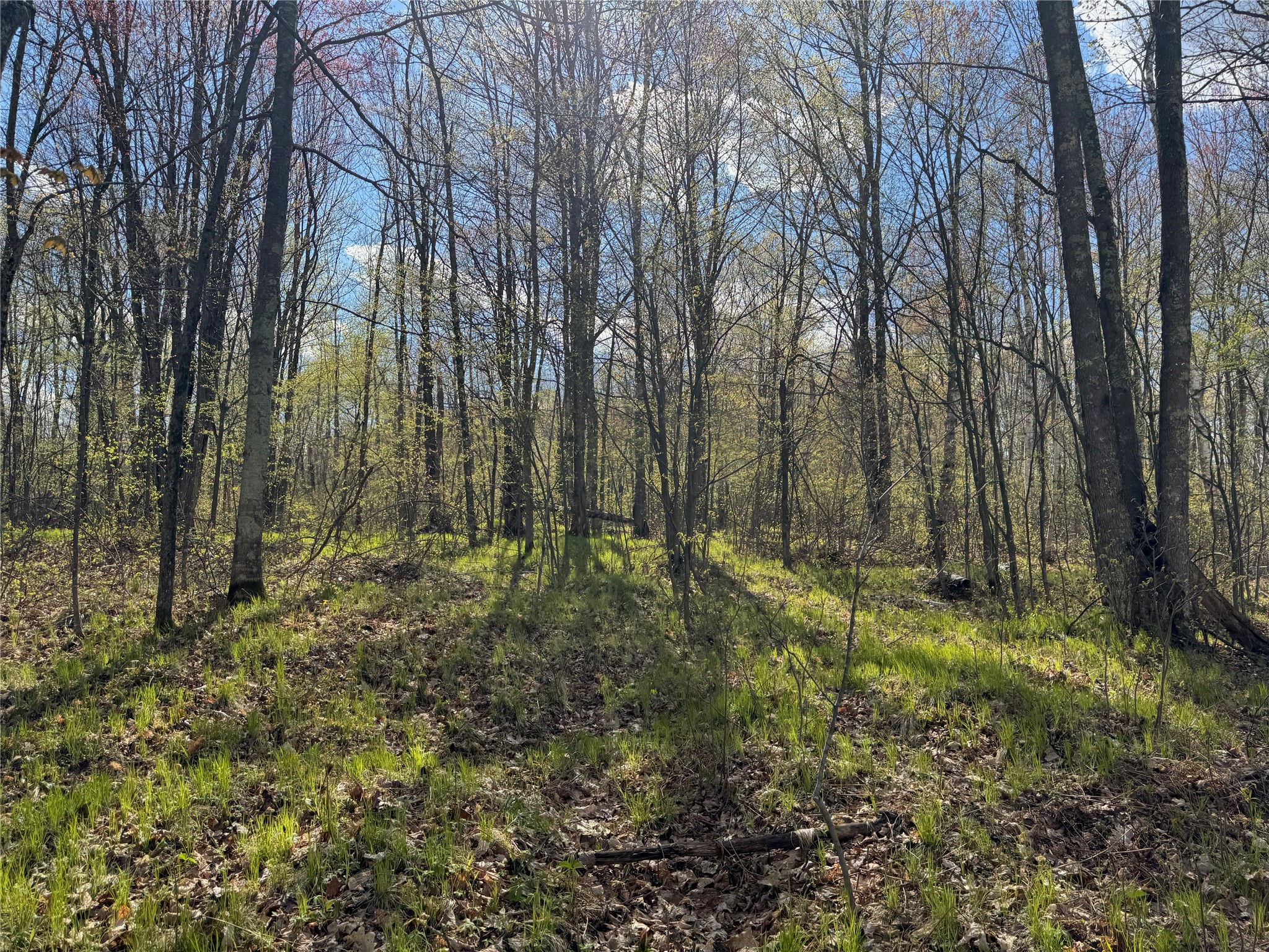 Lots 1-2 Trapper Trail Hayward WI 54843 - Chippewa 1601110 image22