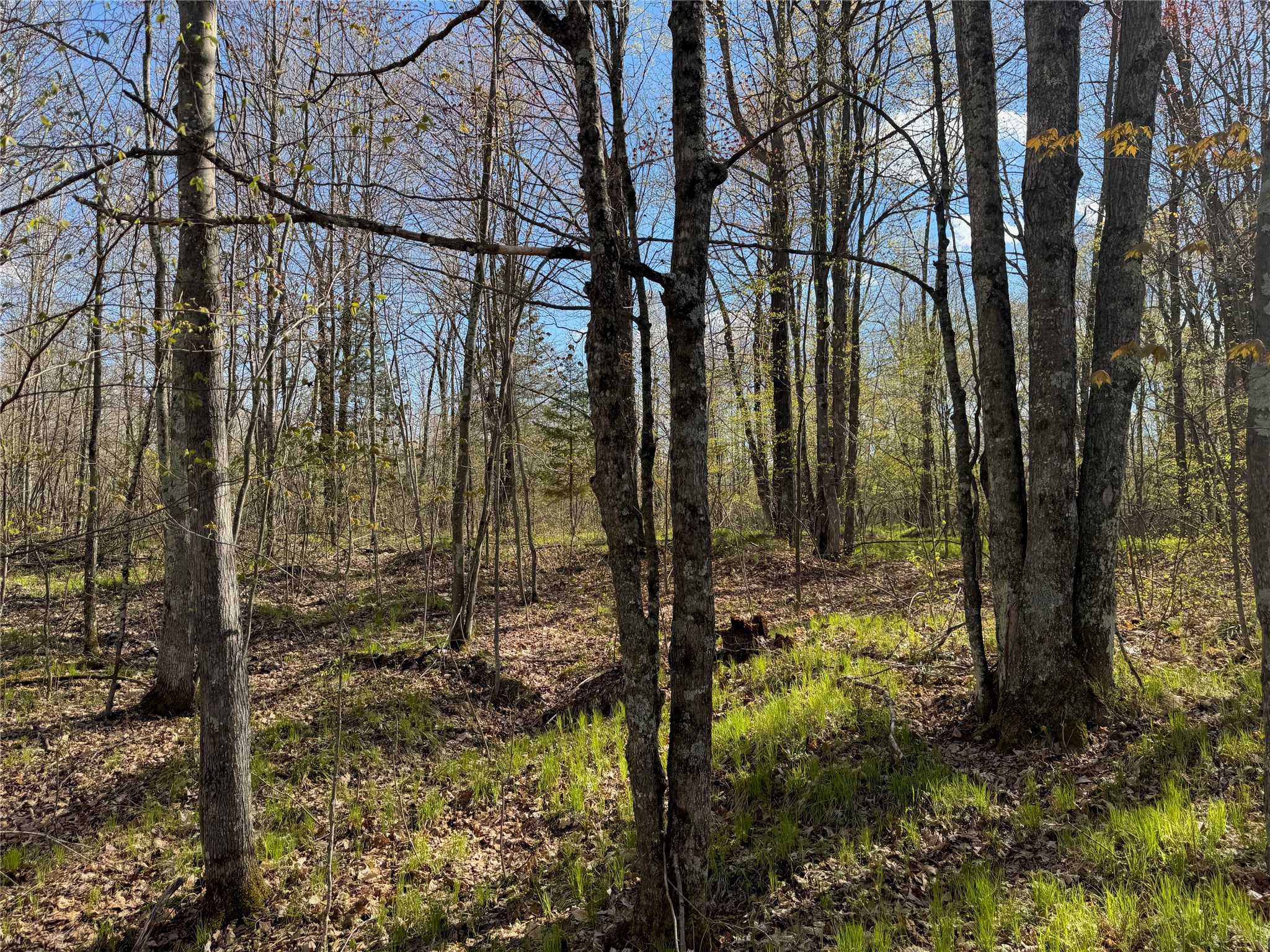 Lots 1-2 Trapper Trail Hayward WI 54843 - Chippewa 1601110 image23
