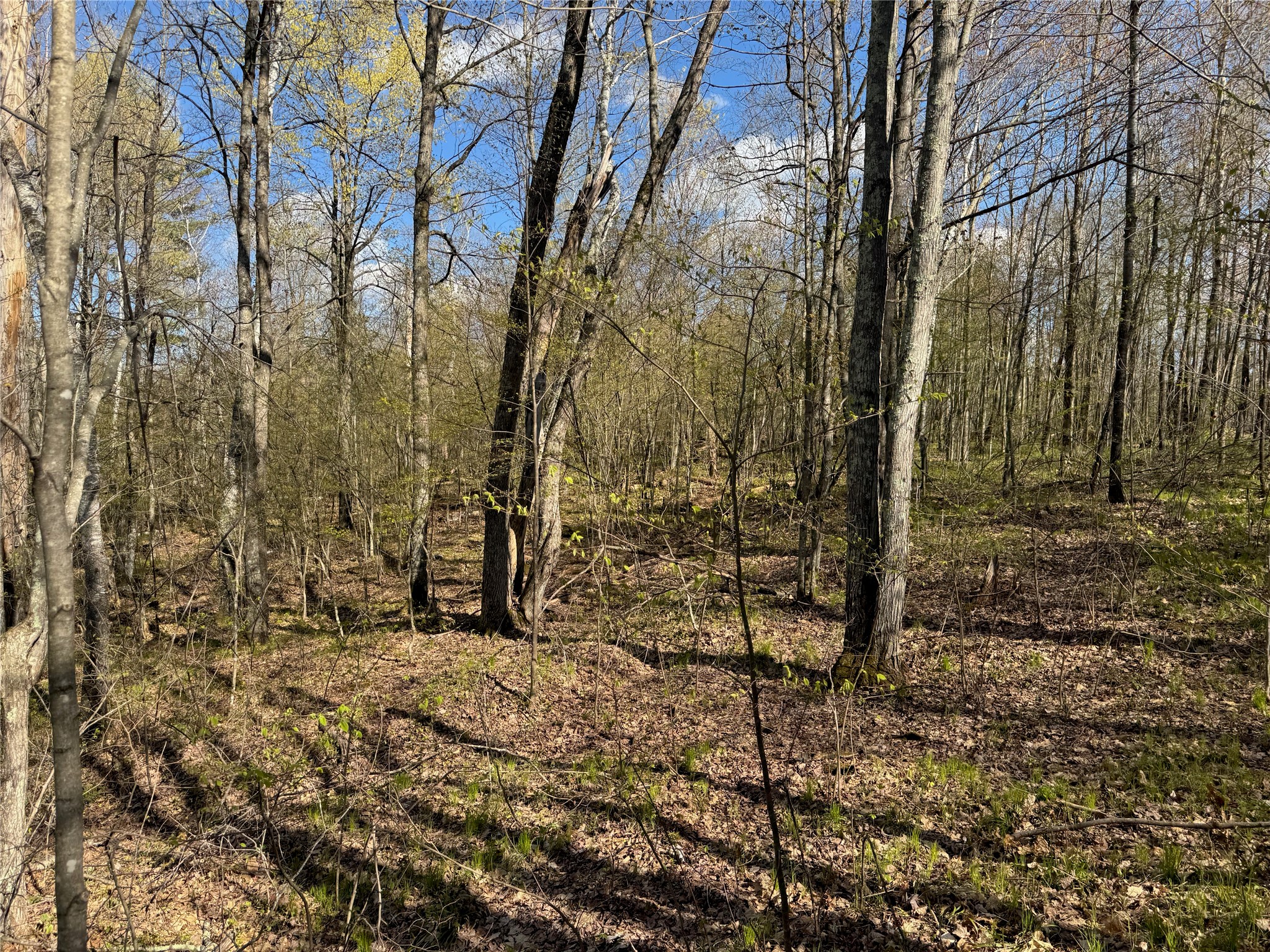 Lots 1-2 Trapper Trail Hayward WI 54843 - Chippewa 1601110 image24