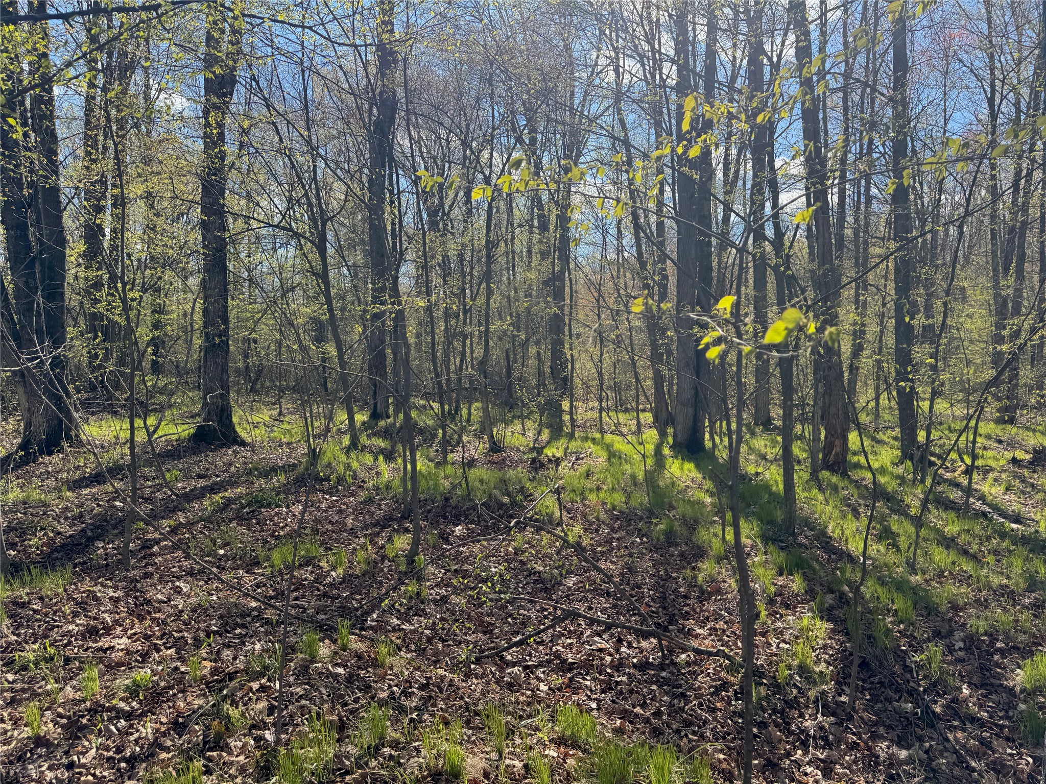 Lots 1-2 Trapper Trail Hayward WI 54843 - Chippewa 1601110 image25