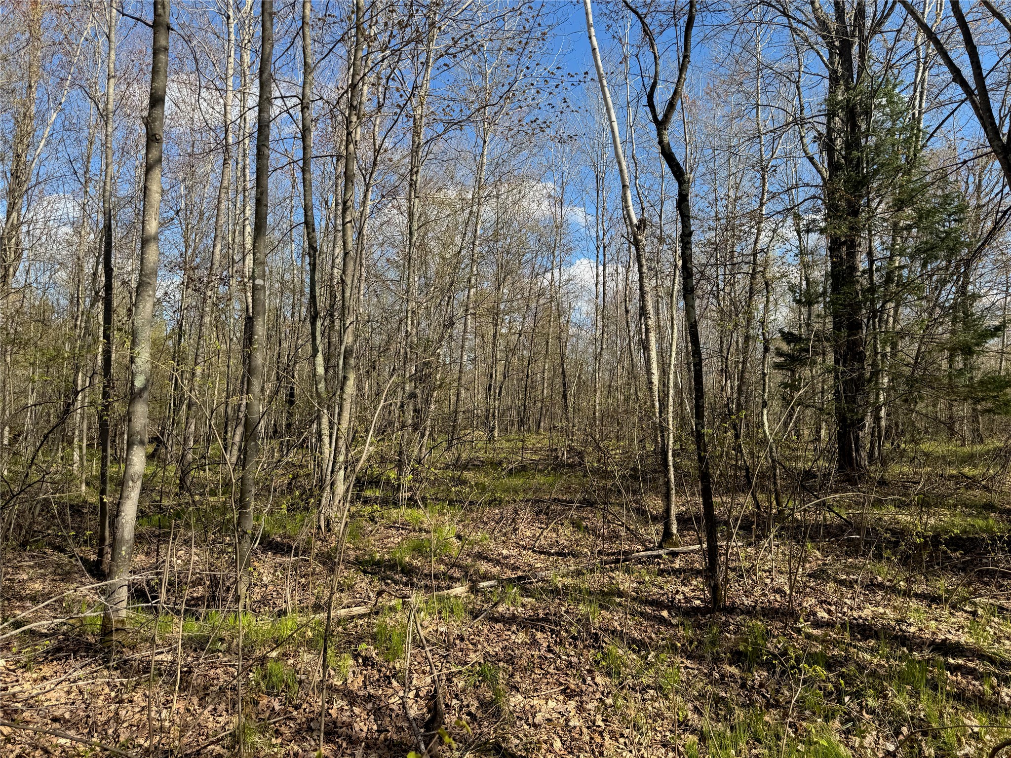 Lots 1-2 Trapper Trail Hayward WI 54843 - Chippewa 1601110 image26