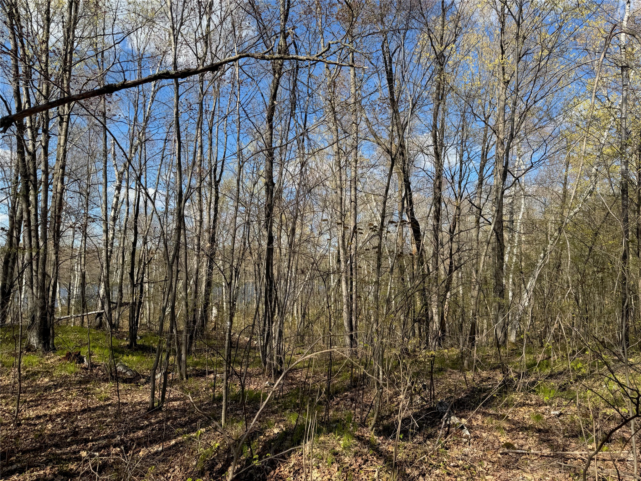 Lots 1-2 Trapper Trail Hayward WI 54843 - Chippewa 1601110 image27