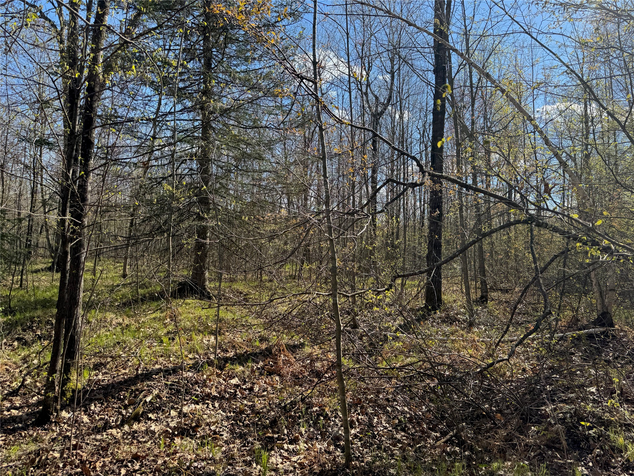 Lots 1-2 Trapper Trail Hayward WI 54843 - Chippewa 1601110 image28