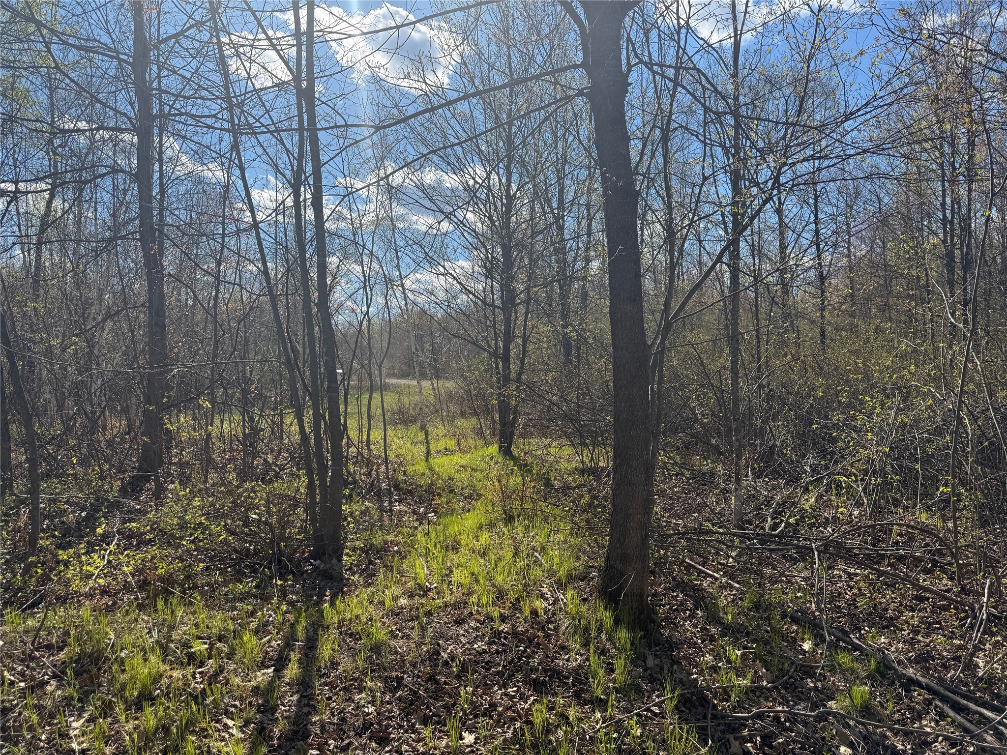 Lots 1-2 Trapper Trail Hayward WI 54843 - Chippewa 1601110 image29