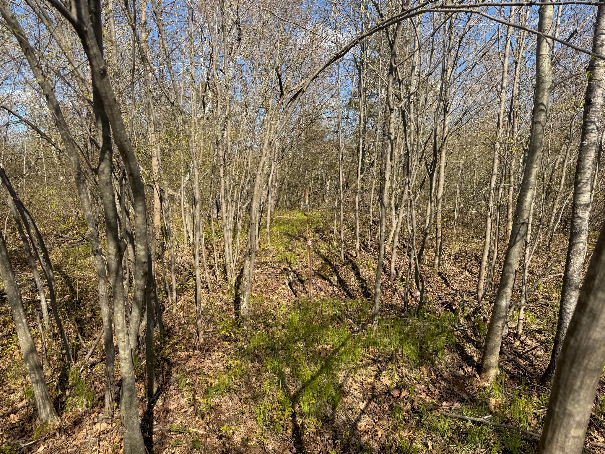 Lots 1-2 Trapper Trail Hayward WI 54843 - Chippewa 1601110 image30