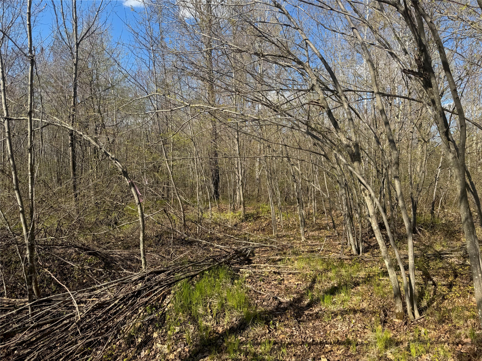 Lots 1-2 Trapper Trail Hayward WI 54843 - Chippewa 1601110 image31