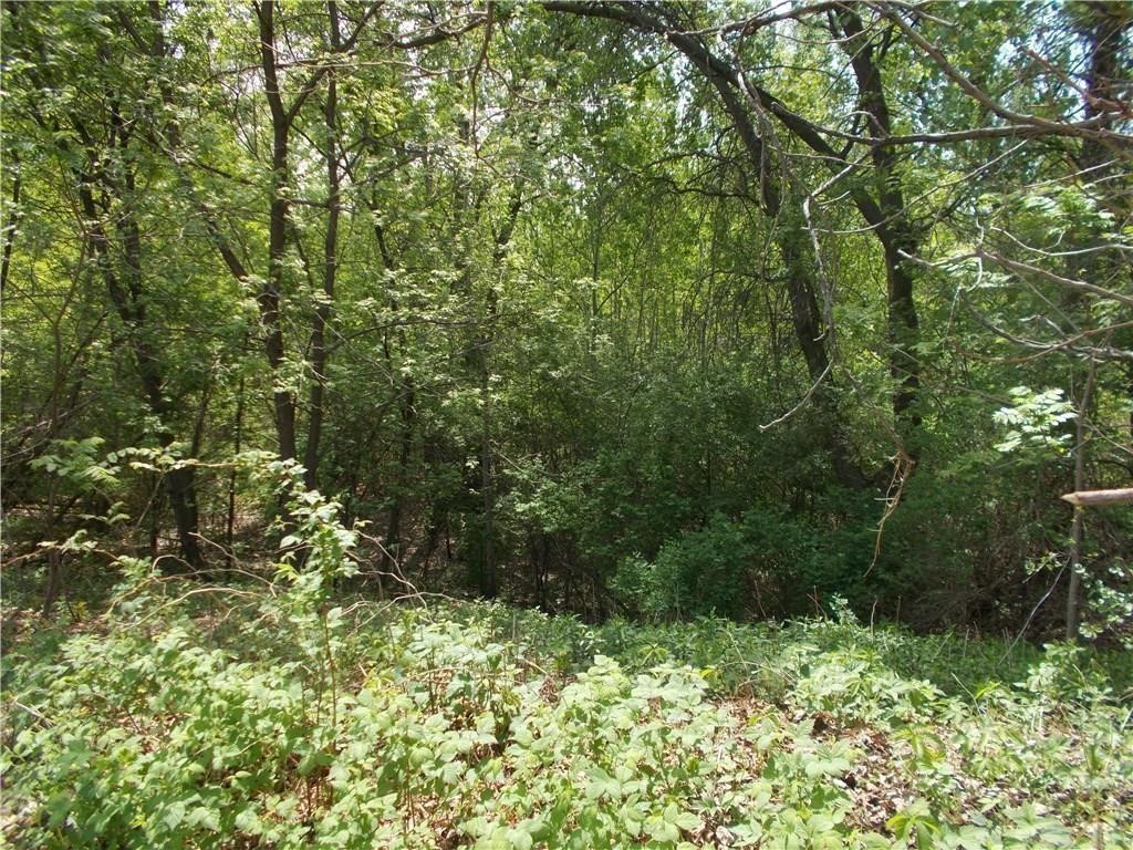 Lots 1-4 Tainter Street NE Menomonie WI 54751 1580823 image2