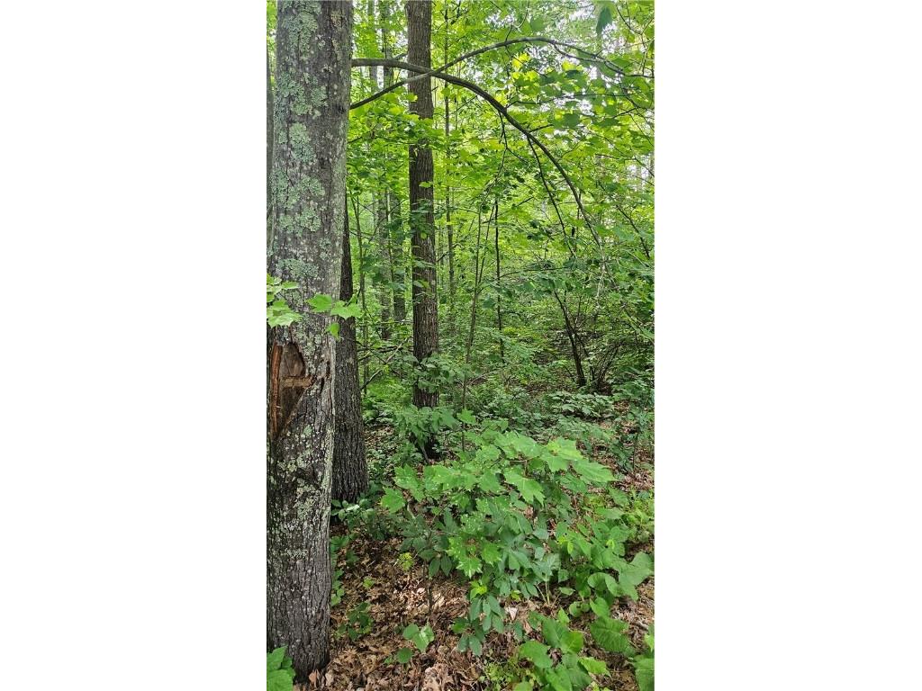 Lots 1-5 36-40 John Ericsson Avenue Hayward WI 54843 1592534 image14