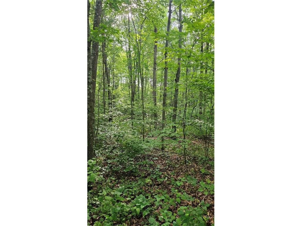 Lots 1-5 36-40 John Ericsson Avenue Hayward WI 54843 1592534 image15