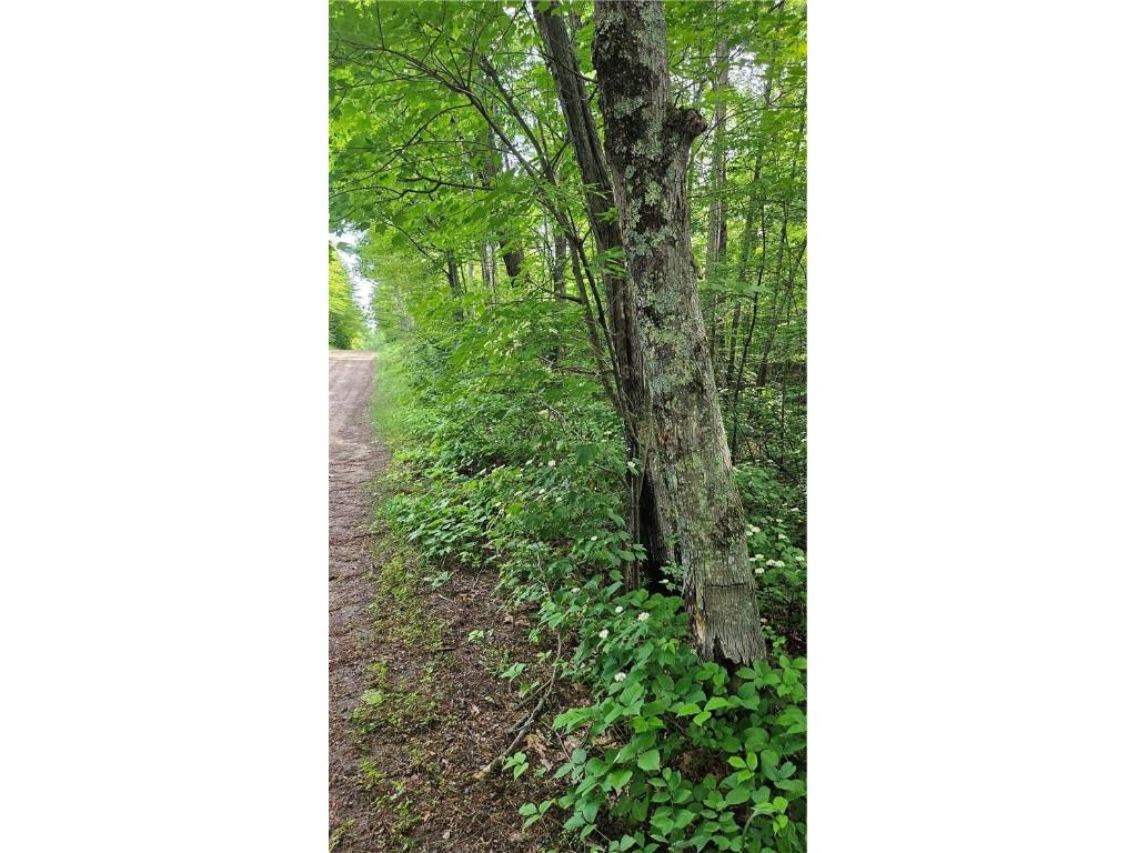 Lots 1-6 35-40 John Ericsson Avenue Hayward WI 54843 1592536 image10