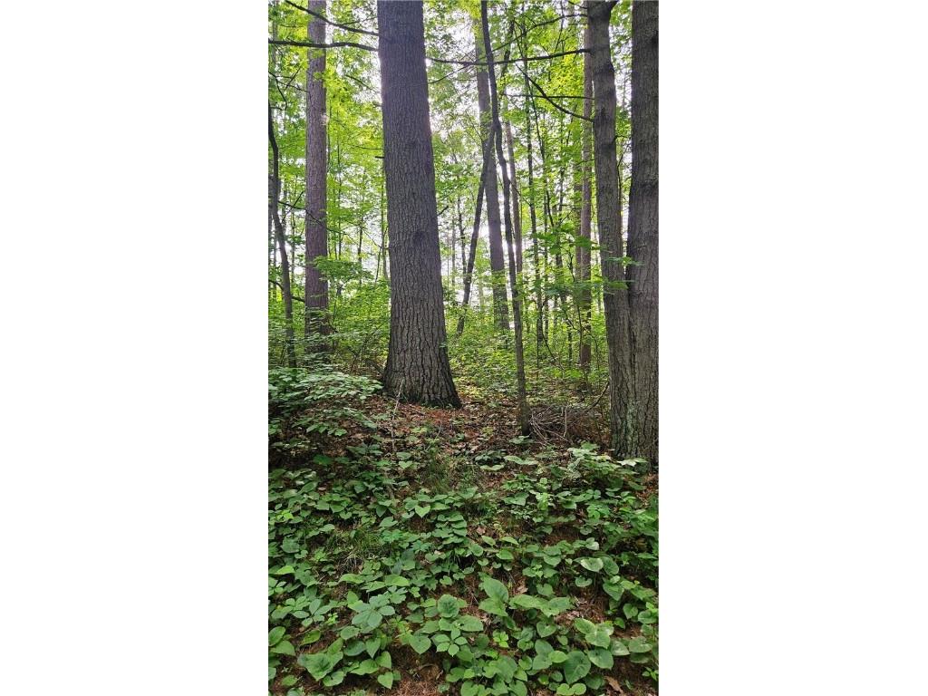 Lots 1-6 35-40 John Ericsson Avenue Hayward WI 54843 1592536 image11