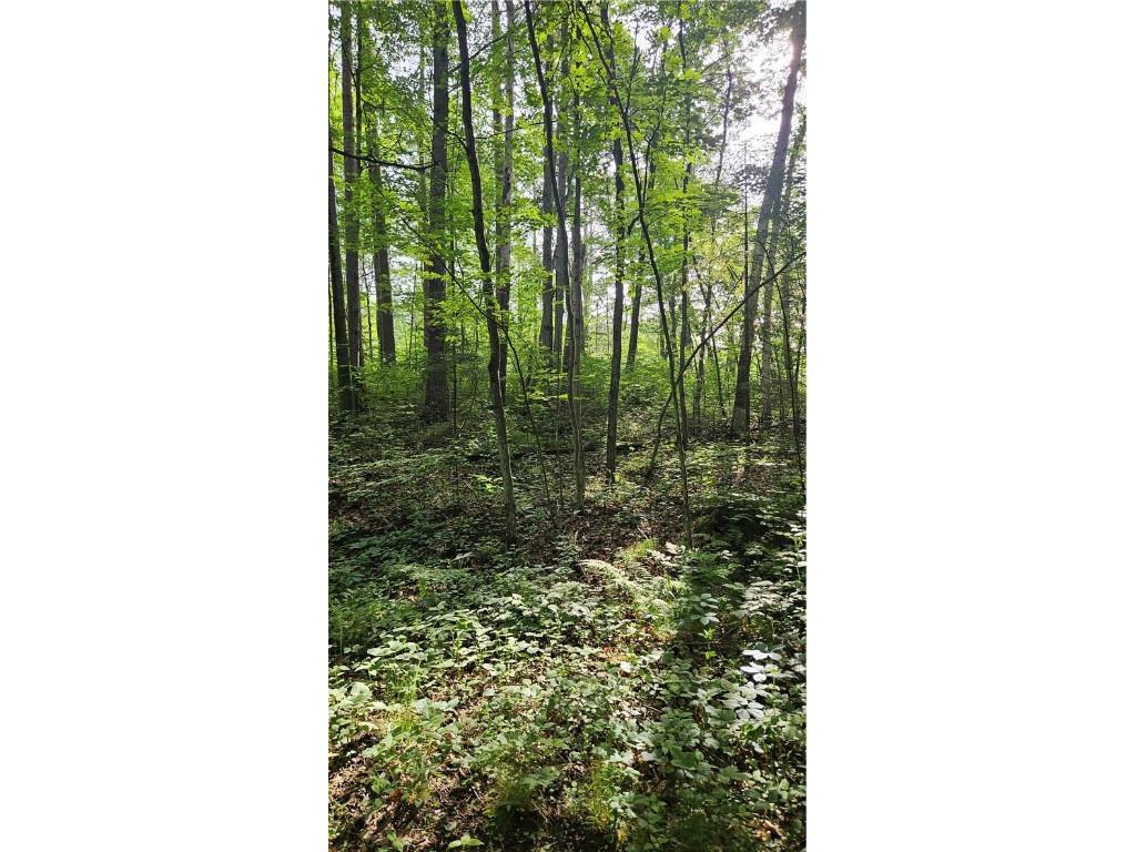 Lots 1-6 35-40 John Ericsson Avenue Hayward WI 54843 1592536 image12