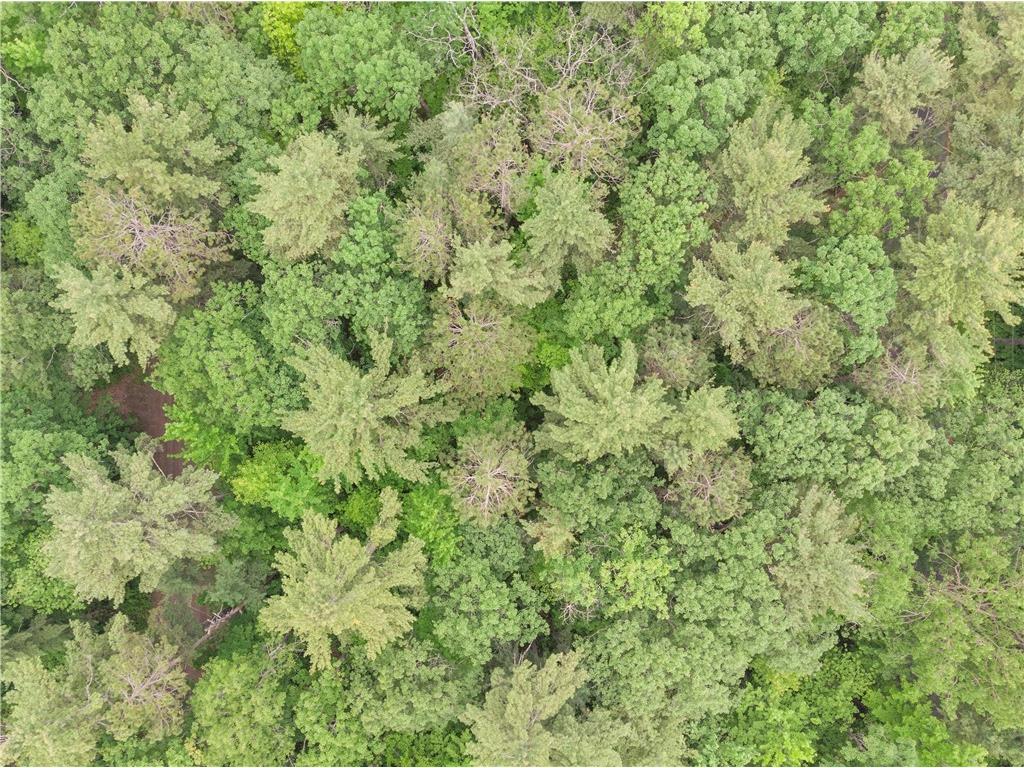 Lots 1-6 35-40 John Ericsson Avenue Hayward WI 54843 1592536 image2