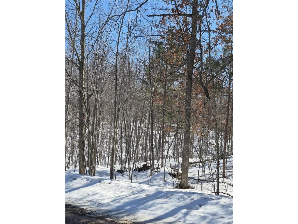 Lots 10 & 11 Wintergreen Trail Danbury WI 54830 1598910 image1
