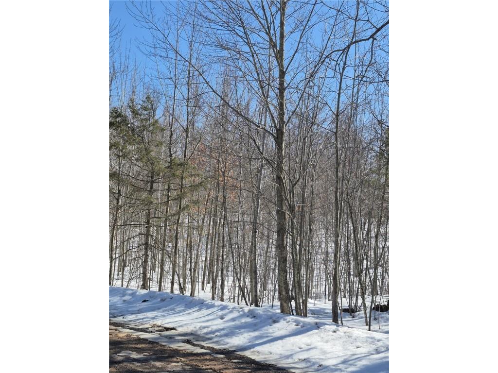 Lots 10 & 11 Wintergreen Trail Danbury WI 54830 1598910 image2