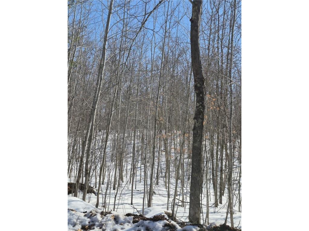 Lots 10 & 11 Wintergreen Trail Danbury WI 54830 1598910 image4