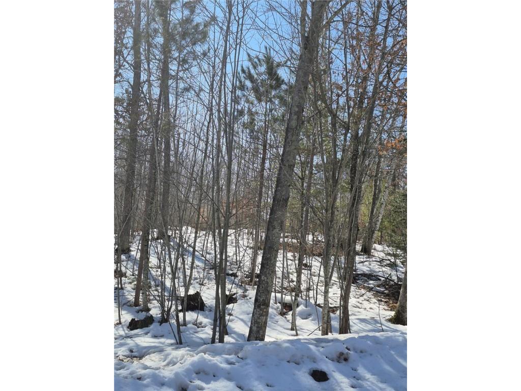 Lots 10 & 11 Wintergreen Trail Danbury WI 54830 1598910 image5