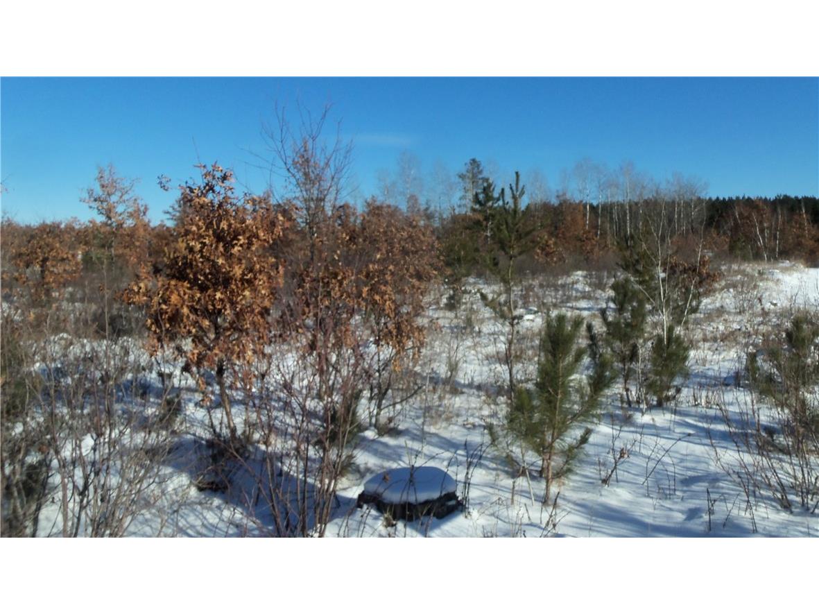 Lots 11&12 Pine Tree Trail Springbrook WI 54875 1579127 image1