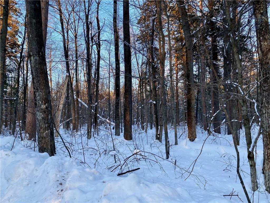 Lots 1120 Grindstone Avenue, Hayward, WI 54843 MLS 1570919 Edina