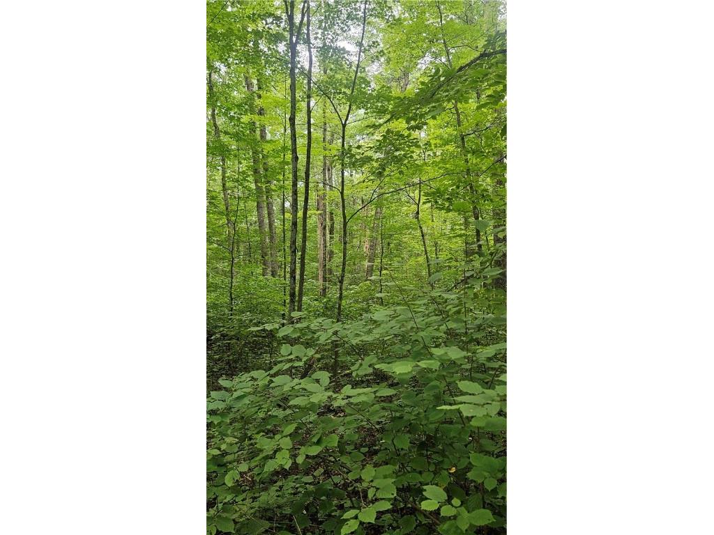 Lots 17 18 36-40 BLK 13 Dixon Ave Hayward WI 54843 1594813 image2